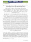 Research paper thumbnail of Widespread Phytophthora infestations in European nurseries put forest, semi‐natural and horticultural ecosystems at high risk of Phytophthora diseases