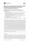 Research paper thumbnail of Electrochemical Mineralization of Ibuprofen on BDD Electrodes in an Electrochemical Flow Reactor: Numerical Optimization Approach