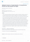 Research paper thumbnail of Saltwater Intrusion in Coastal Aquifers: A Comprehensive Review and Case Studies from Egypt