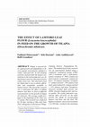 Research paper thumbnail of THE EFFECT OF LAMTORO LEAF FLOUR (Leucaena leucocephala) IN FEED ON THE GROWTH OF TILAPIA (Oreochromis niloticus)