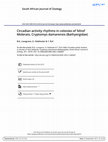 Research paper thumbnail of Circadian activity rhythms in colonies of ‘blind’ Molerats,Cryptomys damarensis(Bathyergidae)