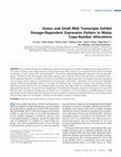 Research paper thumbnail of Genes and Small RNA Transcripts Exhibit Dosage-Dependent Expression Pattern in Maize Copy-Number Alterations