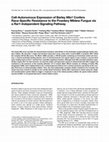 Research paper thumbnail of Cell-Autonomous Expression of Barley <i>Mla1</i> Confers Race-Specific Resistance to the Powdery Mildew Fungus via a <i>Rar1</i>-Independent Signaling Pathway