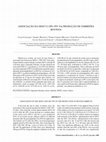 Research paper thumbnail of Associação Da Moet e Opu-Piv Na Produção De Embriões Bovinos