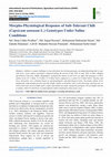 Research paper thumbnail of Morpho-Physiological Response of Salt-Tolerant Chili (Capsicum annuum L.) Genotypes Under Saline Conditions