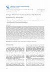 Research paper thumbnail of Damages of the Section Insulator Guide Caused by Electric Arc