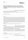 Research paper thumbnail of Prion protein (PrP) deposits in the tectum of experimental Gerstmann-Sträussler-Scheinker disease following intraocular inoculation