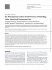 Research paper thumbnail of Rat Retrosplenial Cortical Involvement in Wayfinding Using Visual and Locomotor Cues