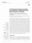 Research paper thumbnail of A Prototypical Template for Rapid Face Detection Is Embedded in the Monkey Superior Colliculus