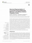 Research paper thumbnail of Neuronal Representation of Locomotion During Motivated Behavior in the Mouse Anterior Cingulate Cortex