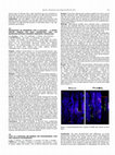 Research paper thumbnail of CCL22 is a potential bio-marker for osteoarthritic pain and cartilage degeneration