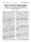 Research paper thumbnail of Effect of a NSAID which Does Not Inhibit Cyclooxygenase on Cerebral Level of PGE 2 in Rat Experimental Brain Oedema