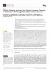 Research paper thumbnail of TRPM2 Oxidation Activates Two Distinct Potassium Channels in Melanoma Cells through Intracellular Calcium Increase