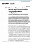 Research paper thumbnail of Xbra modulates the activity of linker region phosphorylated Smad1 during Xenopus development