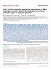 Research paper thumbnail of Cdx1 and Gsc distinctly regulate the transcription of BMP4 target gene ventx3.2 by directly binding to the proximal promoter region in Xenopus gastrulae