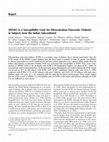 Research paper thumbnail of SPINK1 Is a Susceptibility Gene for Fibrocalculous Pancreatic Diabetes in Subjects from the Indian Subcontinent