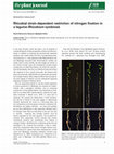 Research paper thumbnail of Rhizobial strain-dependent restriction of nitrogen fixation in a legume-<i>Rhizobium</i>symbiosis