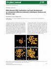 Research paper thumbnail of RNA ‐directed DNA methylation and seed development: an unexpected difference between Arabidopsis thaliana and Brassica rapa