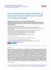 Research paper thumbnail of Gene Action Studies in the Inheritance of Economic Traits in Diallel Cross of Lentil (&lt;i&gt;Lens culinaris&lt;/i&gt; Medik)