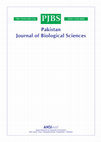 Research paper thumbnail of Production of Zinc and Copper as Nanoparticles by Green Synthesis Using Pseudomonas fluorescens