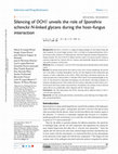 Research paper thumbnail of Silencing of OCH1 unveils the role of Sporothrix schenckii N-linked glycans during the host–fungus interaction