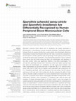 Research paper thumbnail of Sporothrix schenckii sensu stricto and Sporothrix brasiliensis Are Differentially Recognized by Human Peripheral Blood Mononuclear Cells