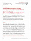 Research paper thumbnail of Functional characterization of Sporothrix schenckii glycosidases involved in the N-linked glycosylation pathway