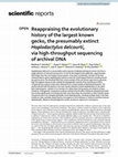 Research paper thumbnail of Reappraising the evolutionary history of the largest known gecko, the presumably extinct Hoplodactylus delcourti, via high-throughput sequencing of archival DNA