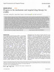 Research paper thumbnail of Progress in the mechanism and targeted drug therapy for COPD