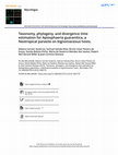 Research paper thumbnail of Taxonomy, phylogeny, and divergence time estimation for Apiosphaeria guaranitica, a Neotropical parasite on bignoniaceous hosts