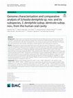 Research paper thumbnail of Genome characterisation and comparative analysis of Schaalia dentiphila sp. nov. and its subspecies, S. dentiphila subsp. denticola subsp. nov., from the human oral cavity