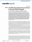 Research paper thumbnail of An RNA-Seq analysis of coronavirus in the skin of the Pangolin