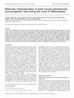 Research paper thumbnail of Molecular characterization of adult mouse subventricular zone progenitor cells during the onset of differentiation