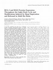 Research paper thumbnail of BCL2 and BAX proteins expression throughout the light-dark cycle and modifications induced by sleep deprivation and rebound in adult rat brain