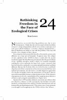 Research paper thumbnail of Rethinking freedom in the face of ecological crises 