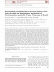 Research paper thumbnail of Baurusuchid crocodyliforms as theropod mimics: clues from the skull and appendicular morphology of Stratiotosuchus maxhechti (Upper Cretaceous of Brazil)