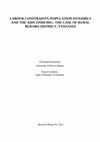 Research paper thumbnail of Labour Constraints, Population Dynamics, and the AIDS Epidemic: The Case of Rural Bukoba District, Tanzania