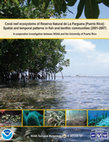 Research paper thumbnail of  Coral reef ecosystems of Reserva Natural La Parguera (Puerto Rico): Spatial and temporal patterns in fish and benthic communities (2001-2007)