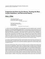 Research paper thumbnail of Fragments that Rune Up the Shores: Pushing the Bear, Coyote Aesthetics, and Recovered History