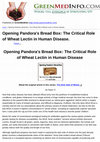 Research paper thumbnail of Opening Pandora's Bread Box: The Critical Role of Wheat Lectin in Human Disease