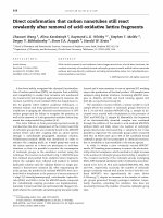 Research paper thumbnail of Direct Confirmation That Carbon Nanotubes Still React Covalently After Removal of Acid-Oxidative Lattice Fragments