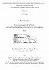 Research paper thumbnail of L'économie agraire de la Gaule : aperçus historiographiques et perspectives archéologiques