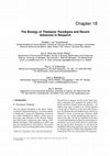 Research paper thumbnail of The biology of Thalassia: Paradigms and recent advances in research