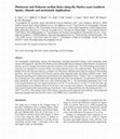 Research paper thumbnail of Pleistocene and Holocene aeolian facies along the Huelva coast (southern Spain): climatic and neotectonic implications