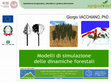 Research paper thumbnail of Modelli di simulazione delle dinamiche forestali (2013)