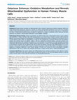 Research paper thumbnail of Galactose Enhances Oxidative Metabolism and Reveals Mitochondrial Dysfunction in Human Primary Muscle Cells