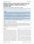 Research paper thumbnail of Changing patterns of microhabitat utilization by the threespot damselfish, Stegastes planifrons, on Caribbean reefs