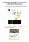 Research paper thumbnail of Biomonitoraggio dei processi di degradazione di contaminanti in matrici ambientali. 2013. (Rossetti S., Matturro B.)   --> PLEASE CITE THIS ARTICLE AS "Rossetti et al., 2012"