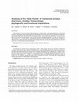 Research paper thumbnail of Anatomy of the “false thumb” of Tremarctos ornatus (Carnivora, Ursidae, Tremarctinae): phylogenetic and functional implications