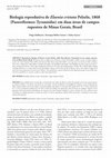 Research paper thumbnail of Hoffmann D, Gomes HB, Guerra TJ (2009) Biologia reprodutiva de Elaenia cristata Pelzeln, 1868 (Passeriformes: Tyrannidae) em duas áreas de campos rupestres de Minas Gerais, Brasil. Rev Bras Ornitol 17 (2):102–106